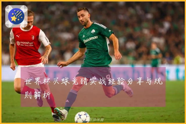 世界杯买球竞猜实战经验分享与规则解析