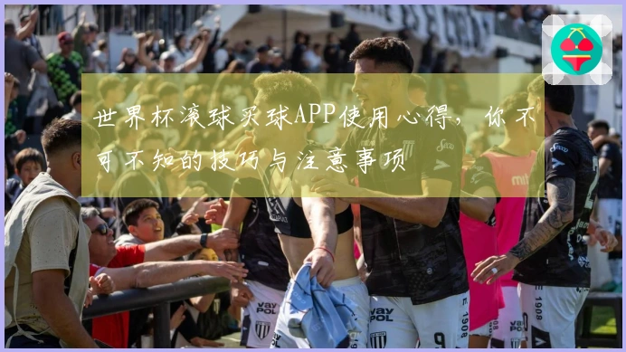 世界杯滚球买球APP使用心得，你不可不知的技巧与注意事项